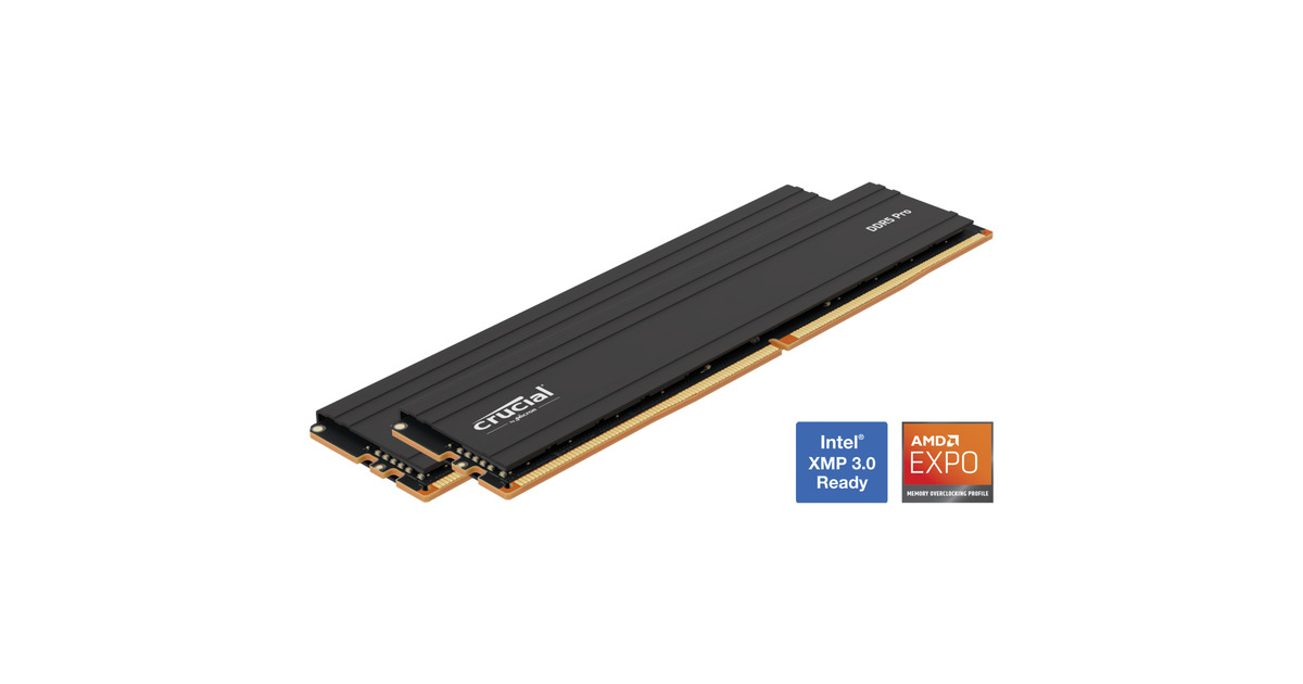 Crucial Pro DDR5-6000 32GB (2×16GB) CL36 (Symbolbild: Crucial Pro DDR4)